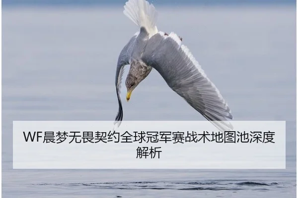 WF晨梦无畏契约全球冠军赛战术地图池深度解析