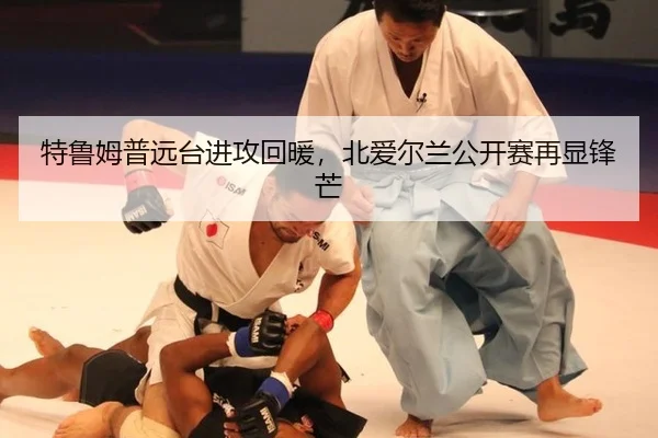 te-lu-mu-pu-yuan-tai-jin-gong-hui-nuan-bei-ai-er-lan-gong-kai-sai-zai-xian-feng-mang-2-110.jpg