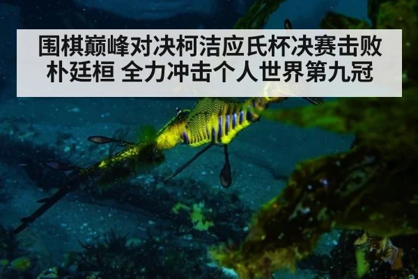 围棋巅峰对决柯洁应氏杯决赛击败朴廷桓 全力冲击个人世界第九冠