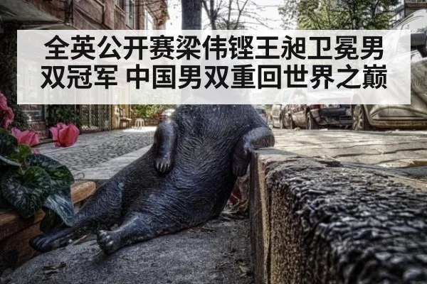 全英公开赛梁伟铿王昶卫冕男双冠军 中国男双重回世界之巅